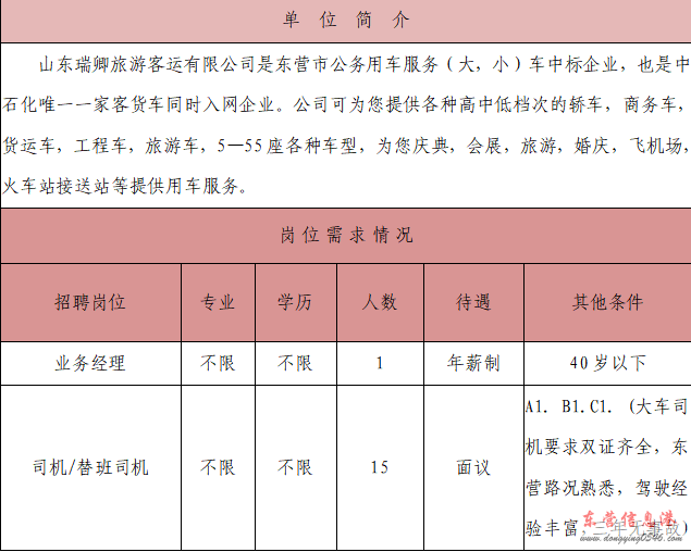 东城旅游客运公司招聘司机